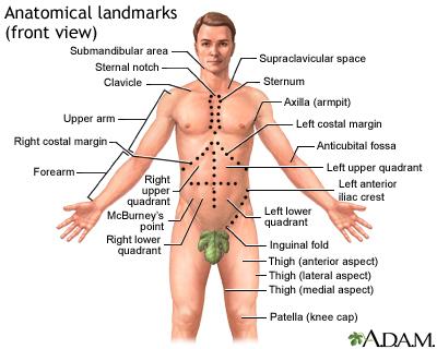 lower abdominal pain