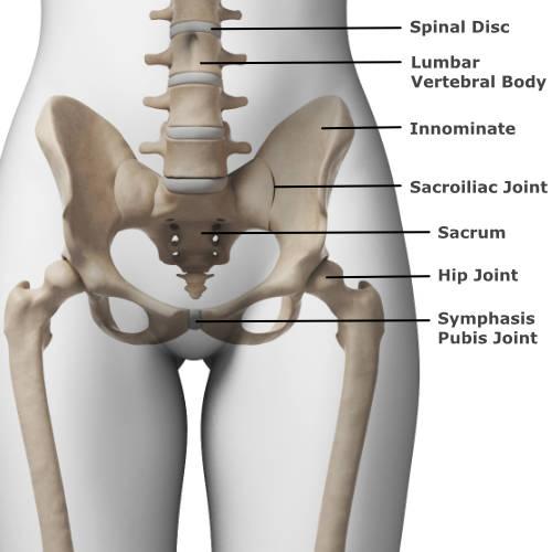 Understanding the Complex Causes of Pelvic Pain