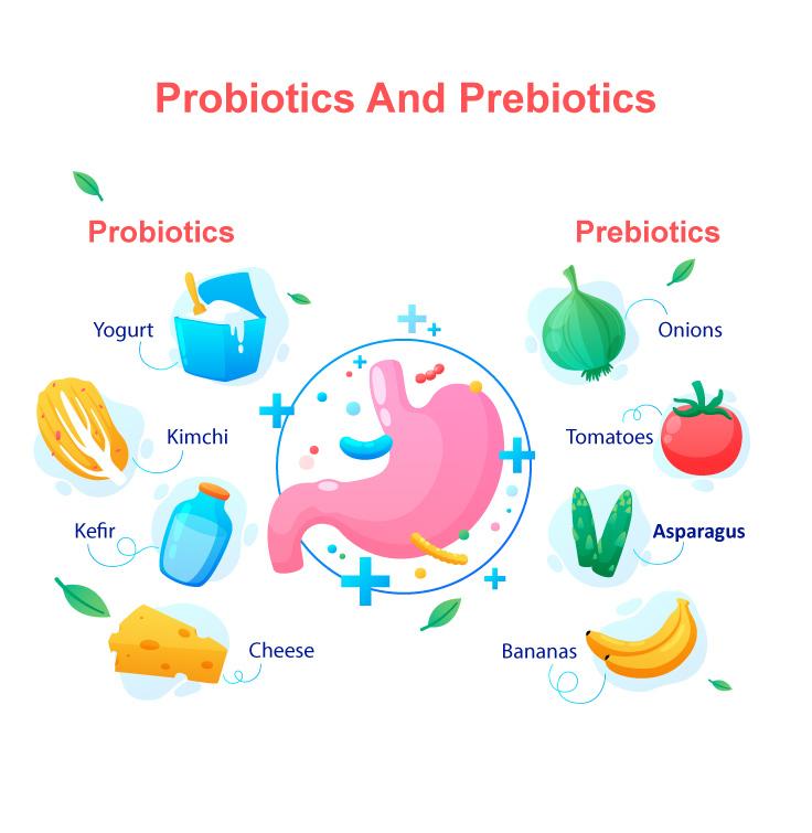 prebiotics