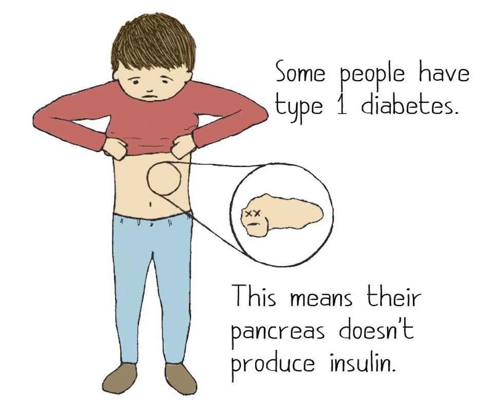 Understanding⁢ Type 1 Diabetes: The ​Immune⁢ Systems Role