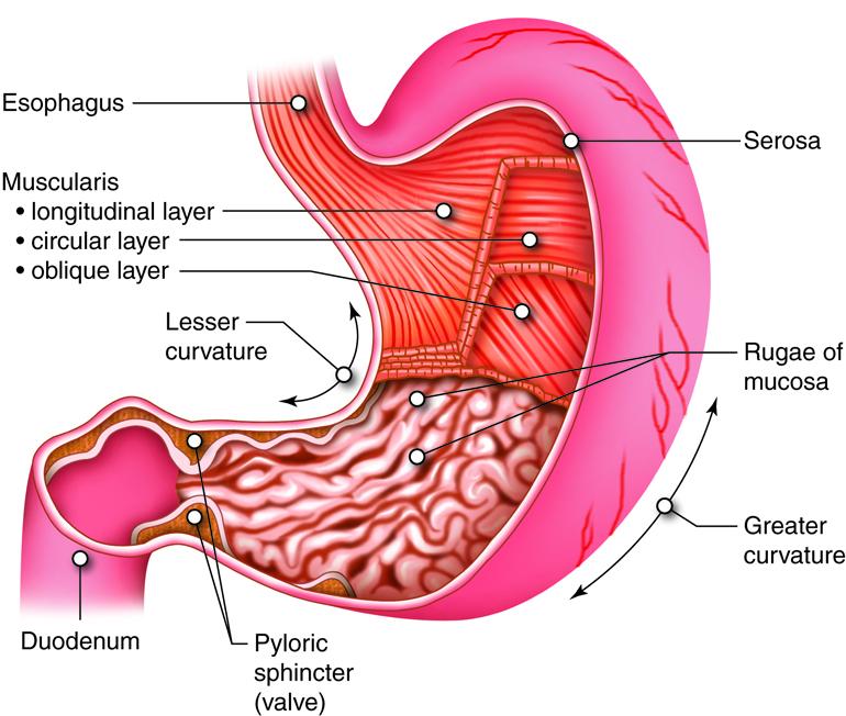 constipation treatment