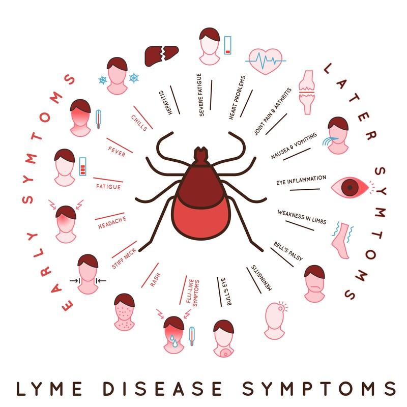 lyme disease treatment