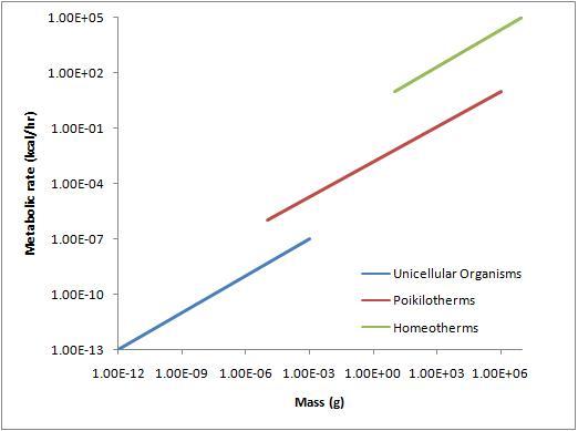 metabolic