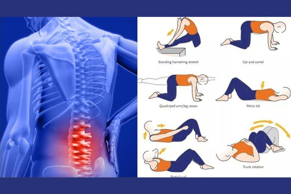 back pain relief