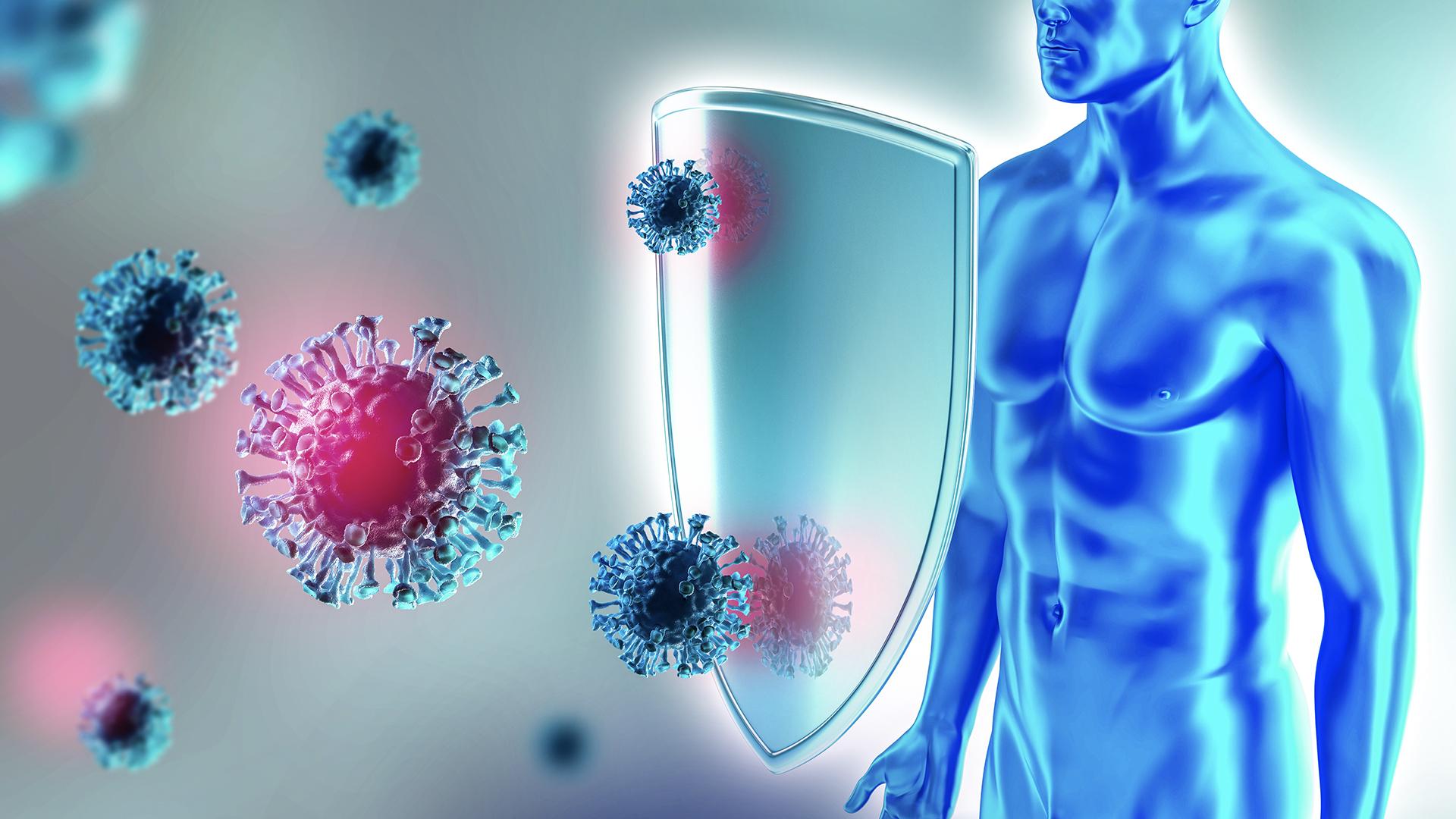 Understanding the Immune System: The⁤ Bodys​ Defense Network