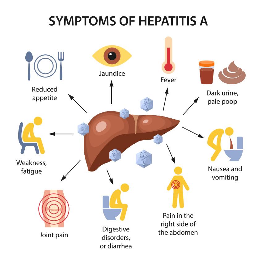 Understanding Hepatitis A and Its Transmission Pathways